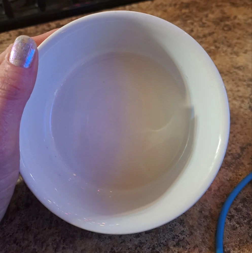 Dog/cat Feeding Bowl